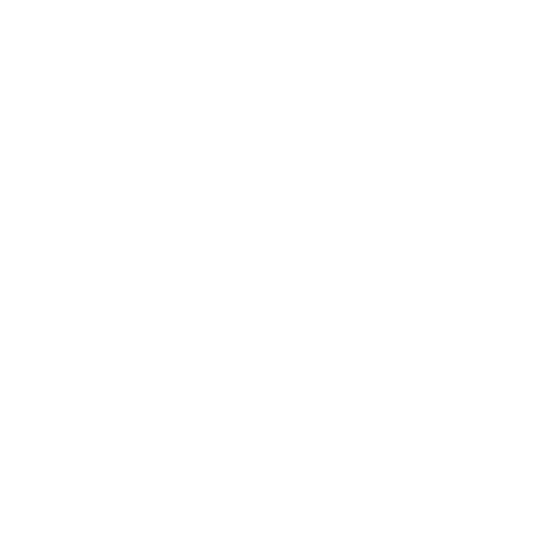 enjoy best biryani in herndon